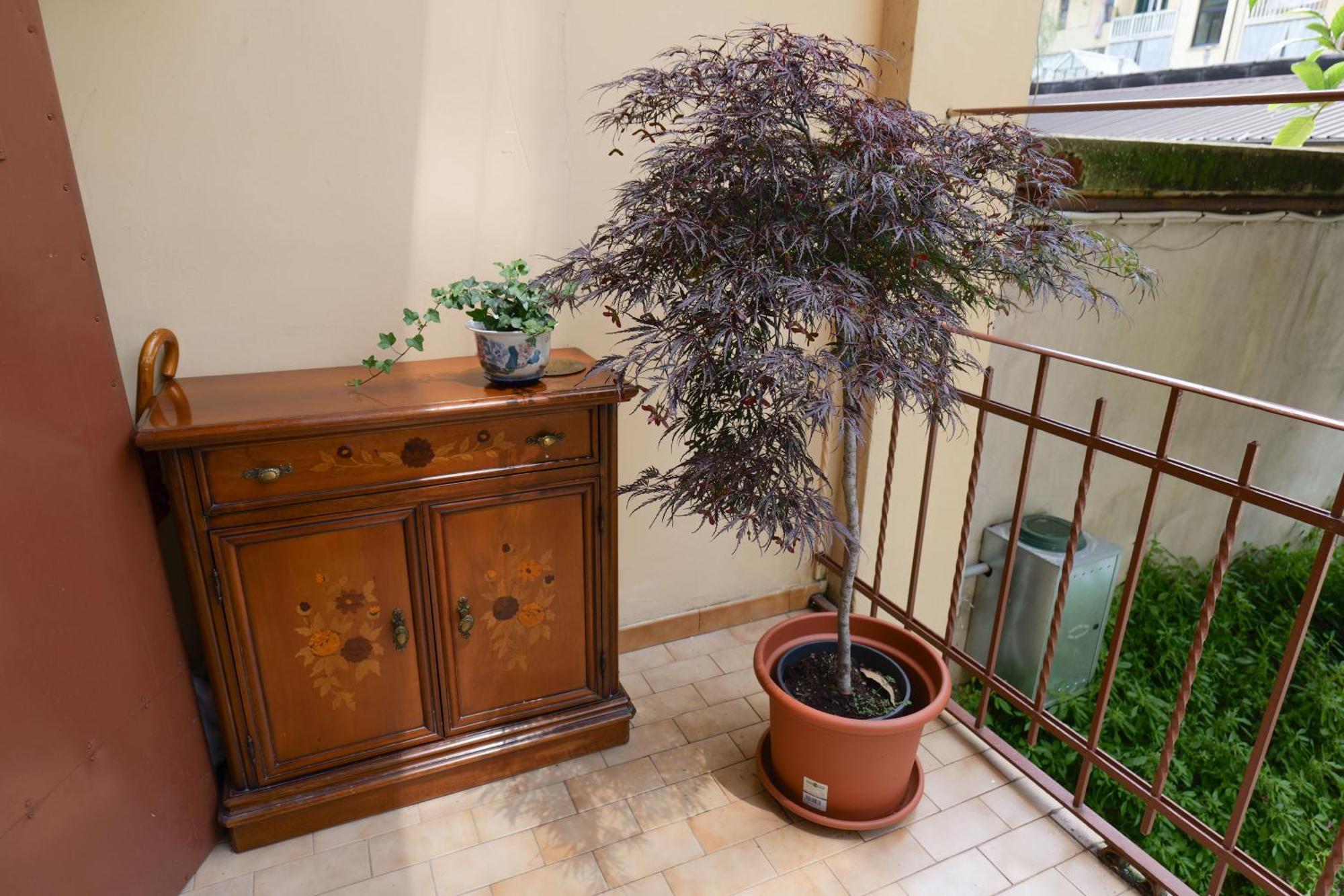 Coli'S House Bed & Breakfast Torino Dış mekan fotoğraf